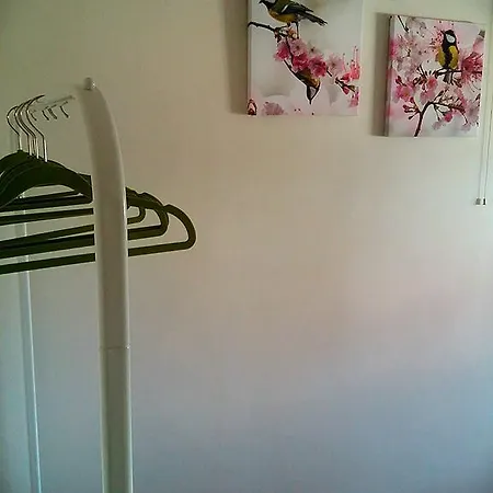 Apartament Wiola *