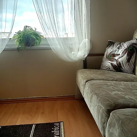 Apartament Wiola *
